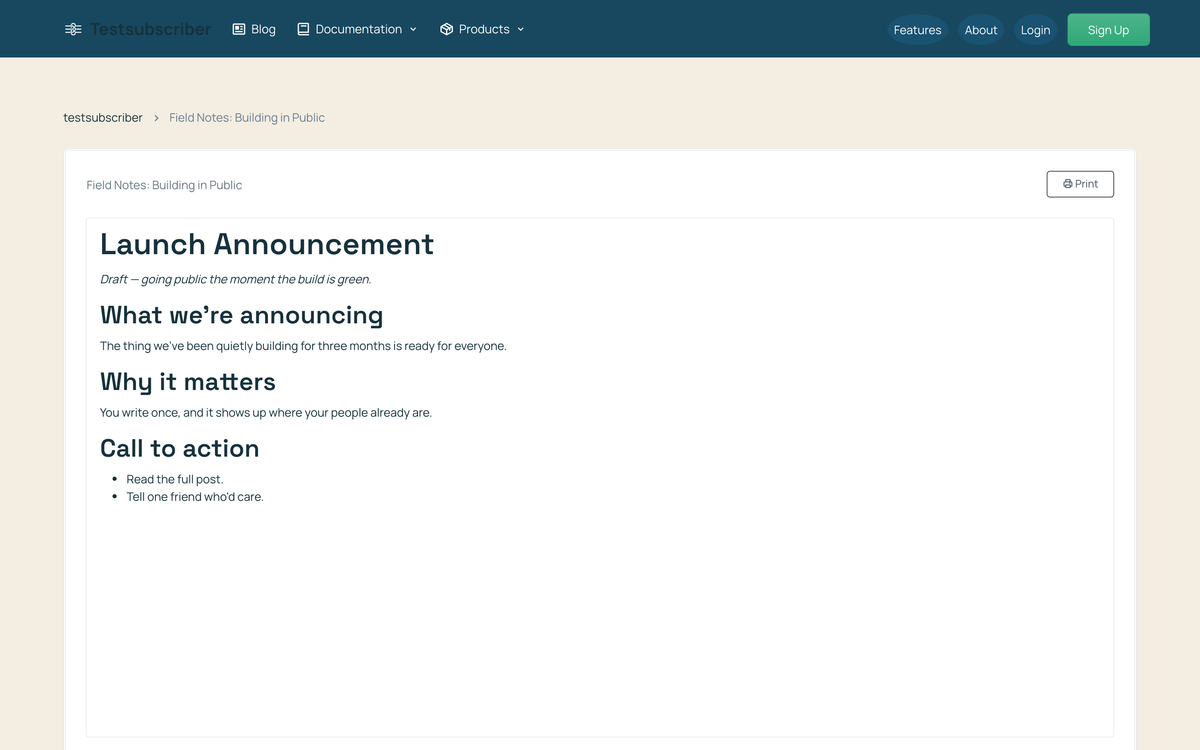The public, read-only view of a document on the author's profile: logged-out site chrome with Login and Sign Up, a breadcrumb, and the rendered document with a Print button